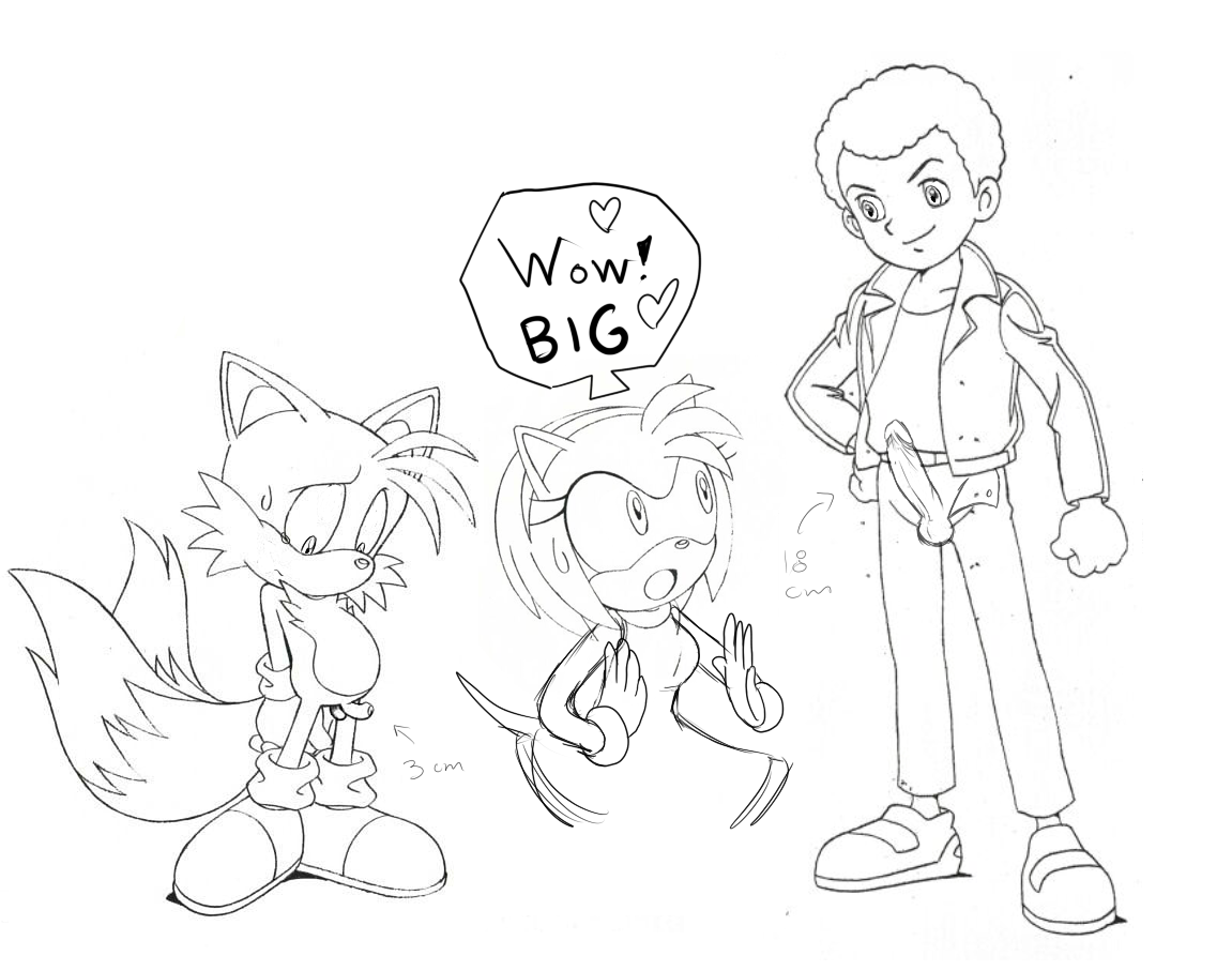 Amy Rose (Sonic (Series)) Rule 34 Image