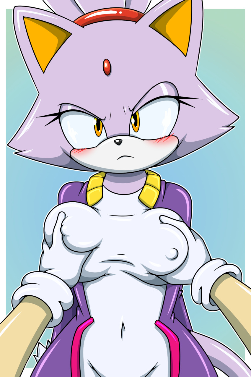 Blaze The Cat (Sonic (Series)) Rule 34 Image
