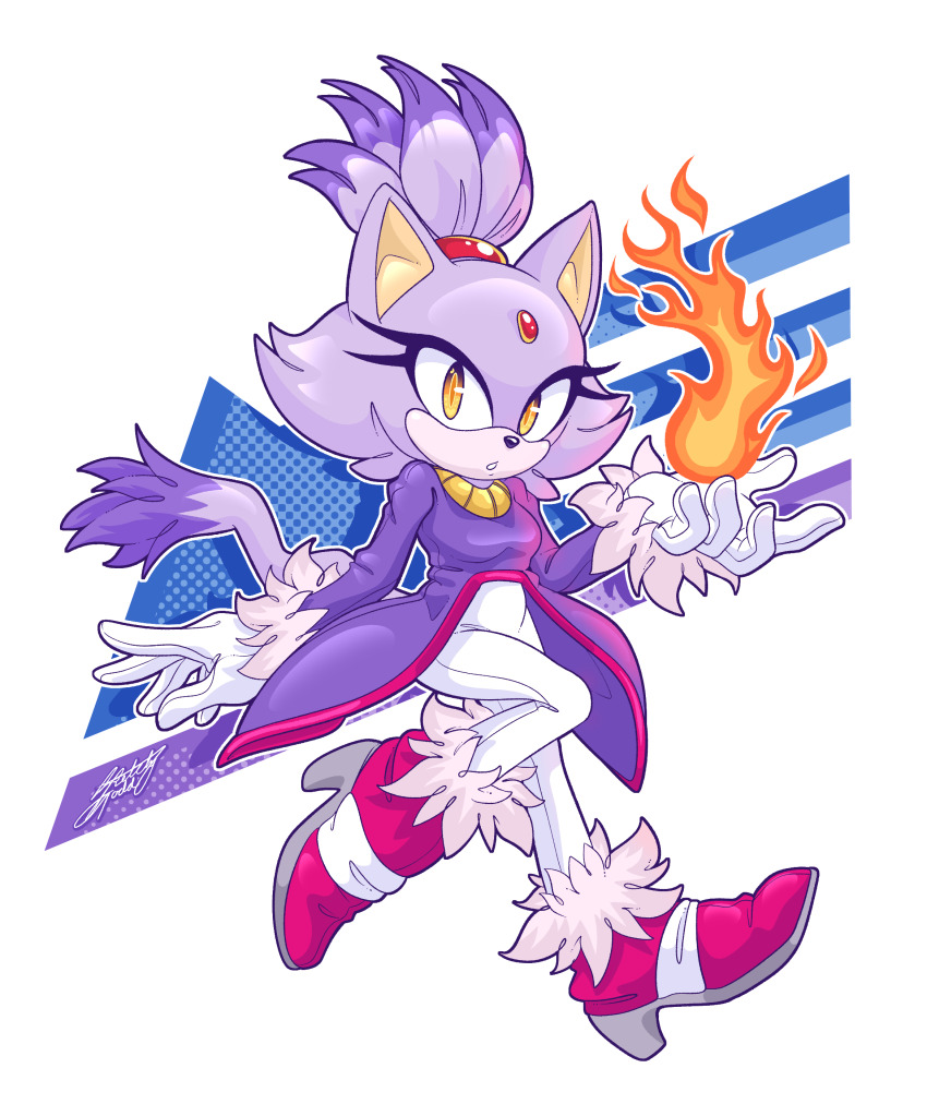 Blaze The Cat (Sonic (Series)) Rule 34 Image