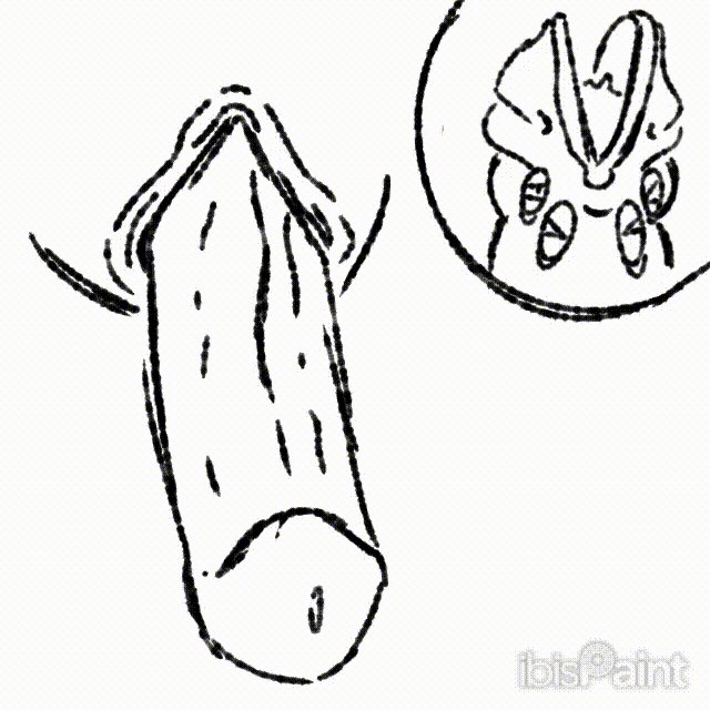 My Singing Monsters Rule 34 Image