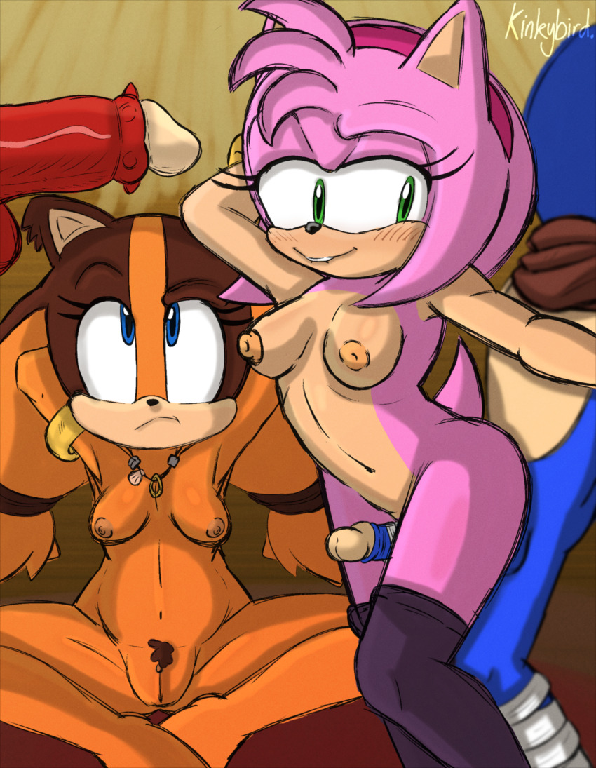 Amy Rose (Sega) Rule 34 Image