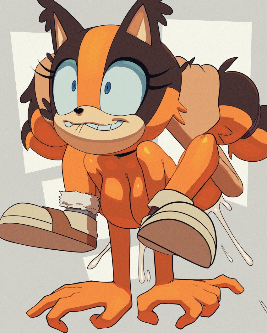 Sticks The Badger (Sega) Rule 34 Image
