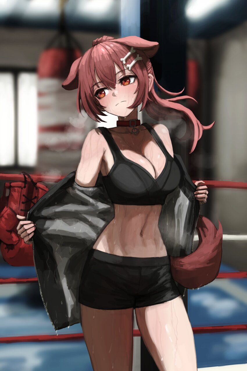 Inugami Korone (Hololive) Rule 34 Image