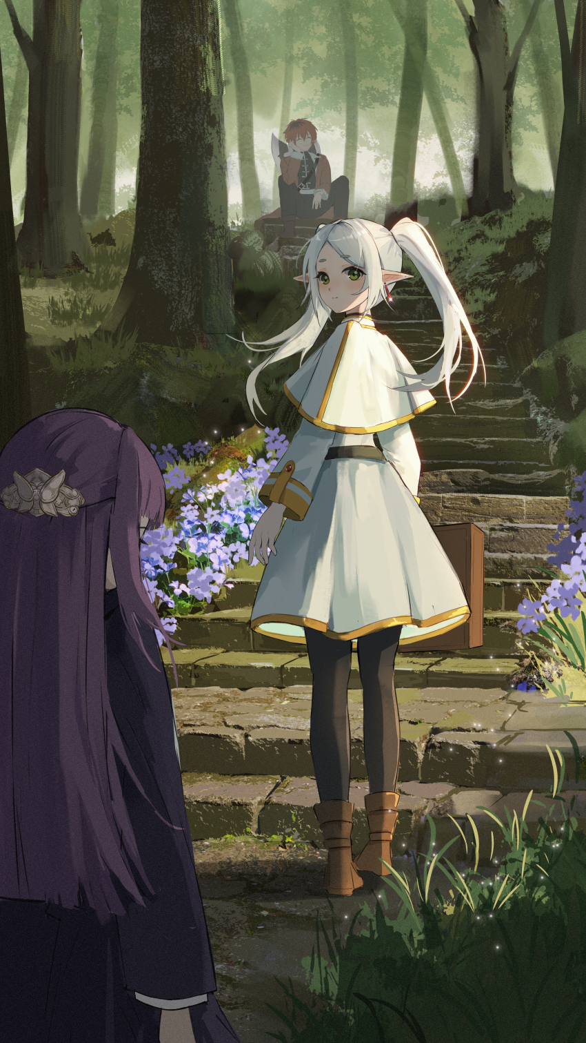 Fern (Sousou No Frieren) Rule 34 Image