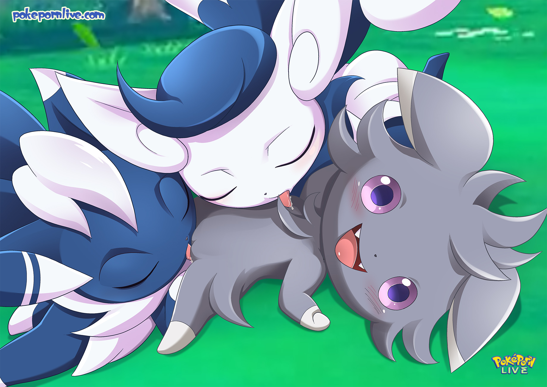 Espurr (Nintendo) Rule 34 Image