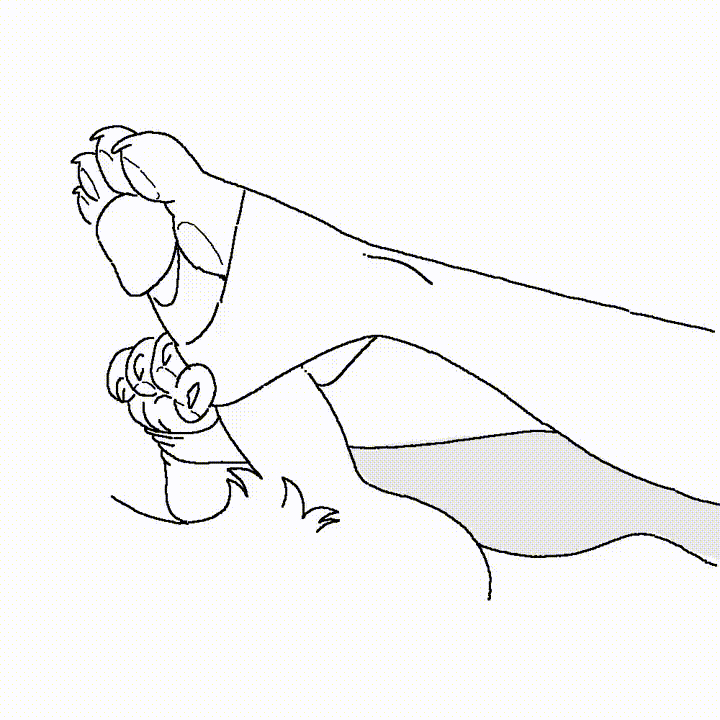 1:1 Rule 34 Image