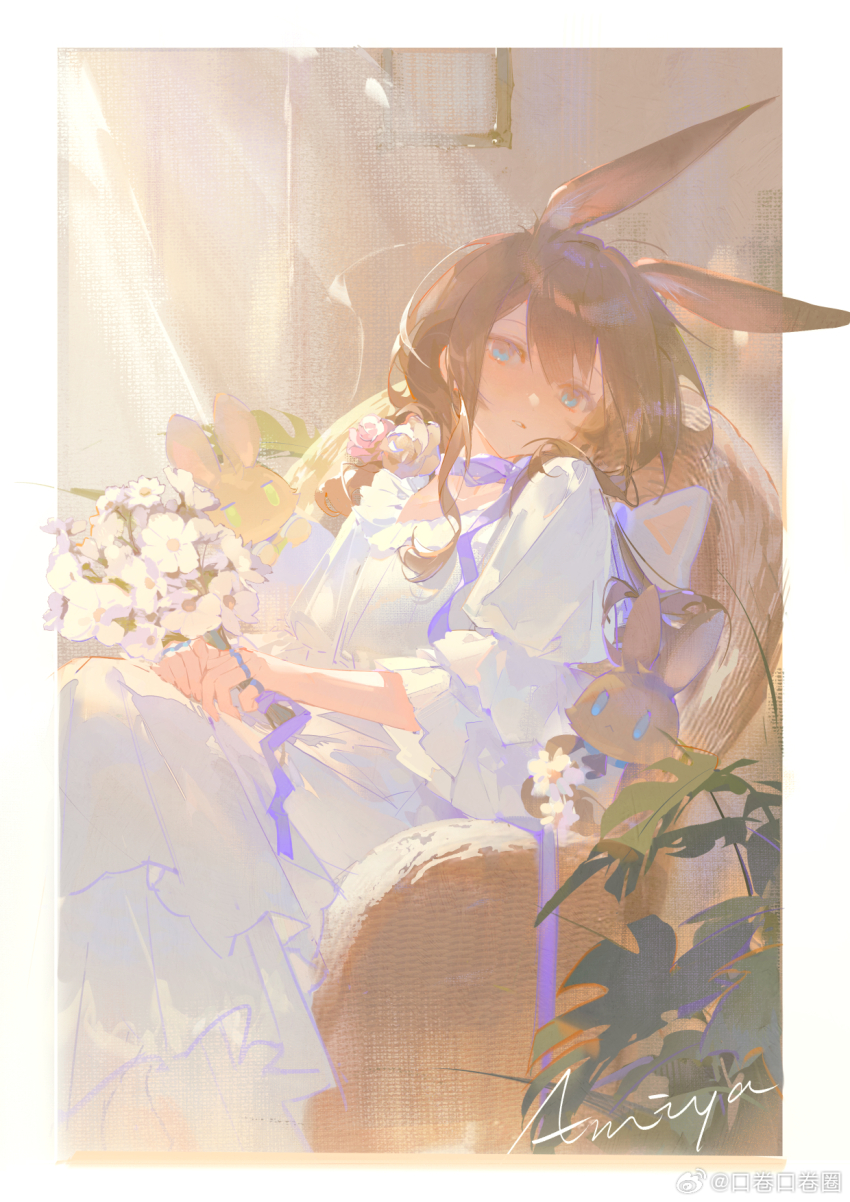 Amiya (Arknights) Rule 34 Image