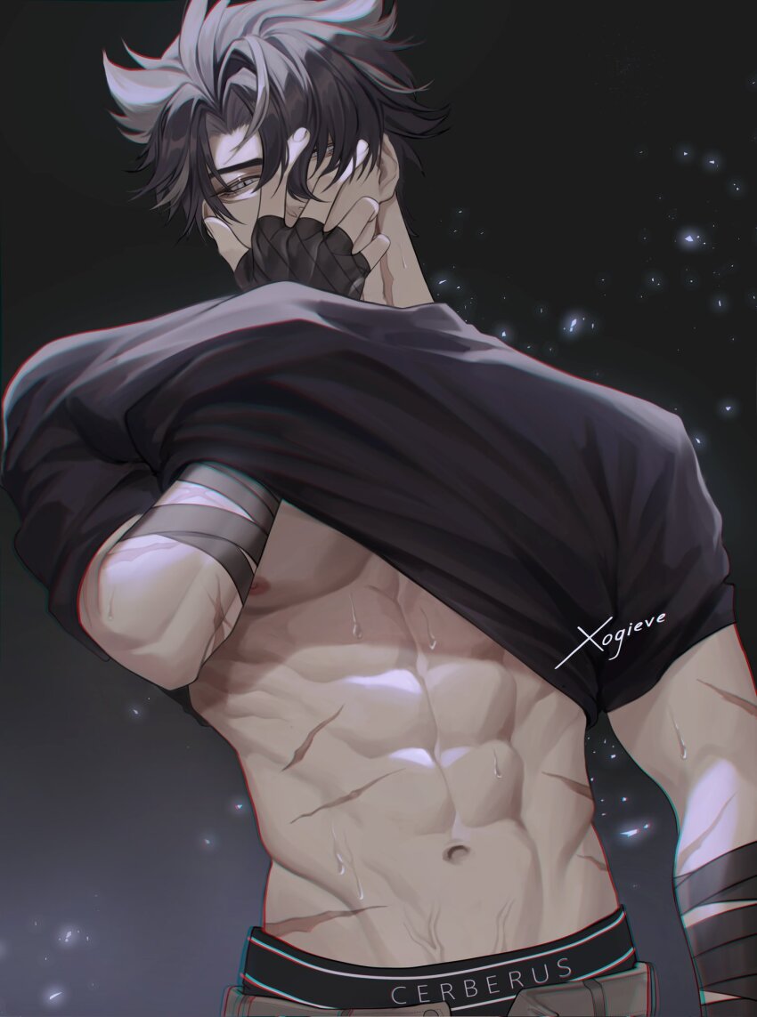 Wriothesley (Genshin Impact) Rule 34 Image