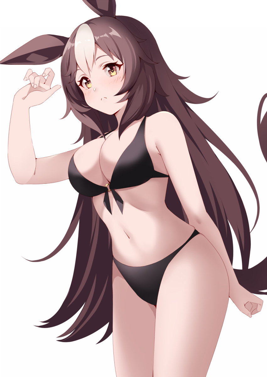 Yamanin Zephyr (Umamusume) Rule 34 Image
