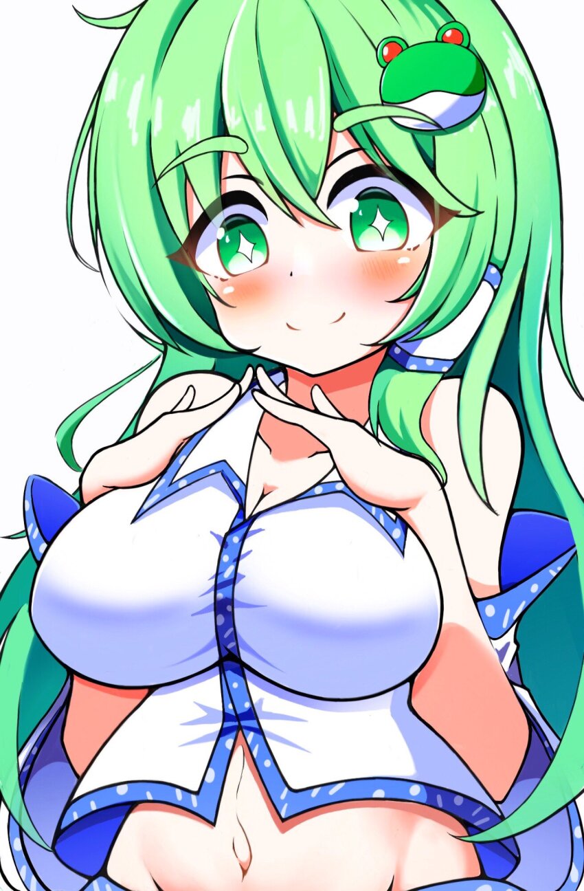 Kochiya Sanae (Touhou) Rule 34 Image