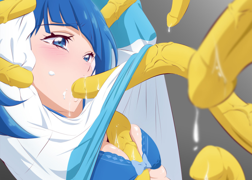 Sora Harewataru (Hirogaru Sky! Precure) Rule 34 Image