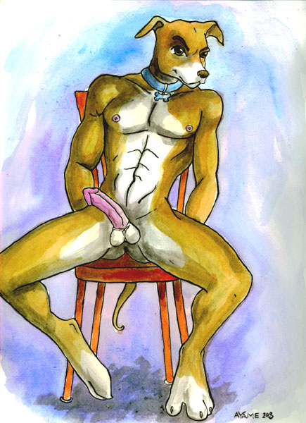 Anthro Rule 34 Image