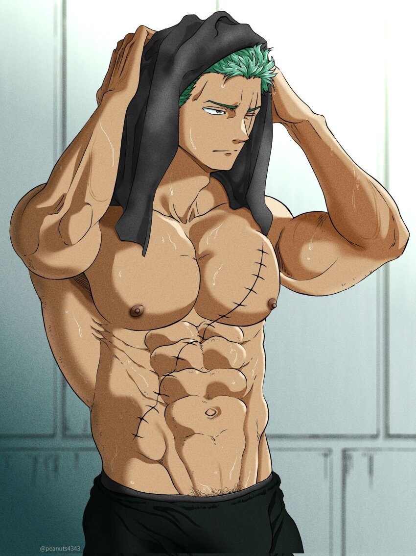 Roronoa Zoro (One Piece) Rule 34 Image