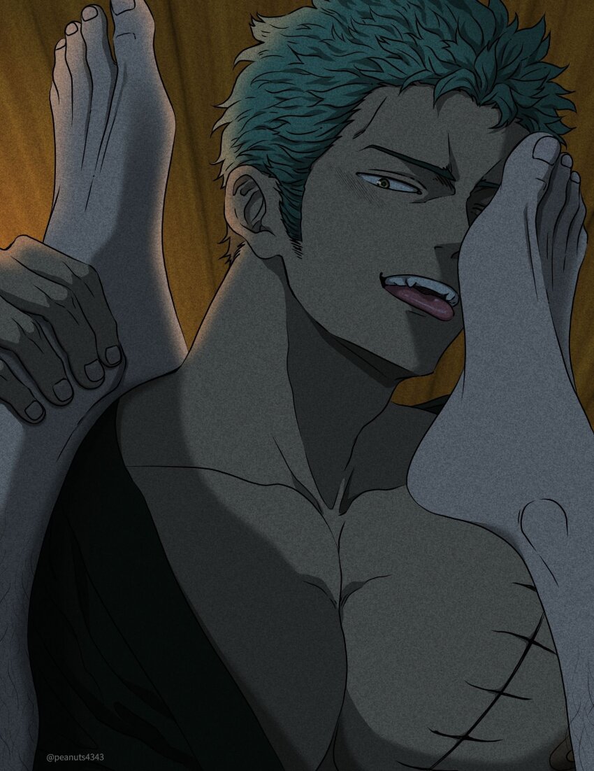 Roronoa Zoro (One Piece) Rule 34 Image