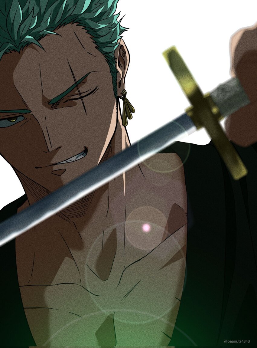 Roronoa Zoro (One Piece) Rule 34 Image