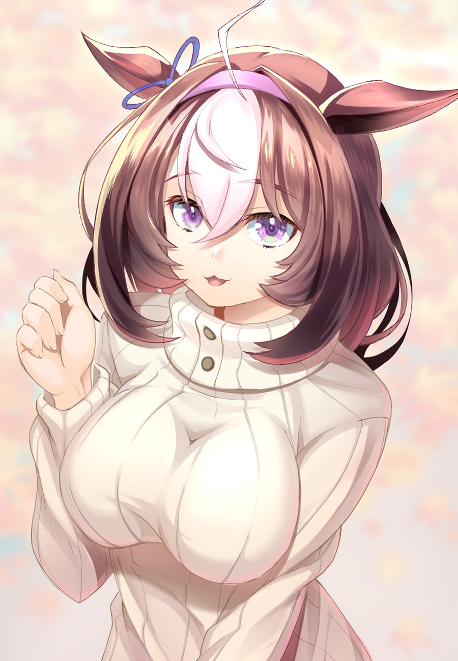 Meisho Doto (Umamusume) Rule 34 Image