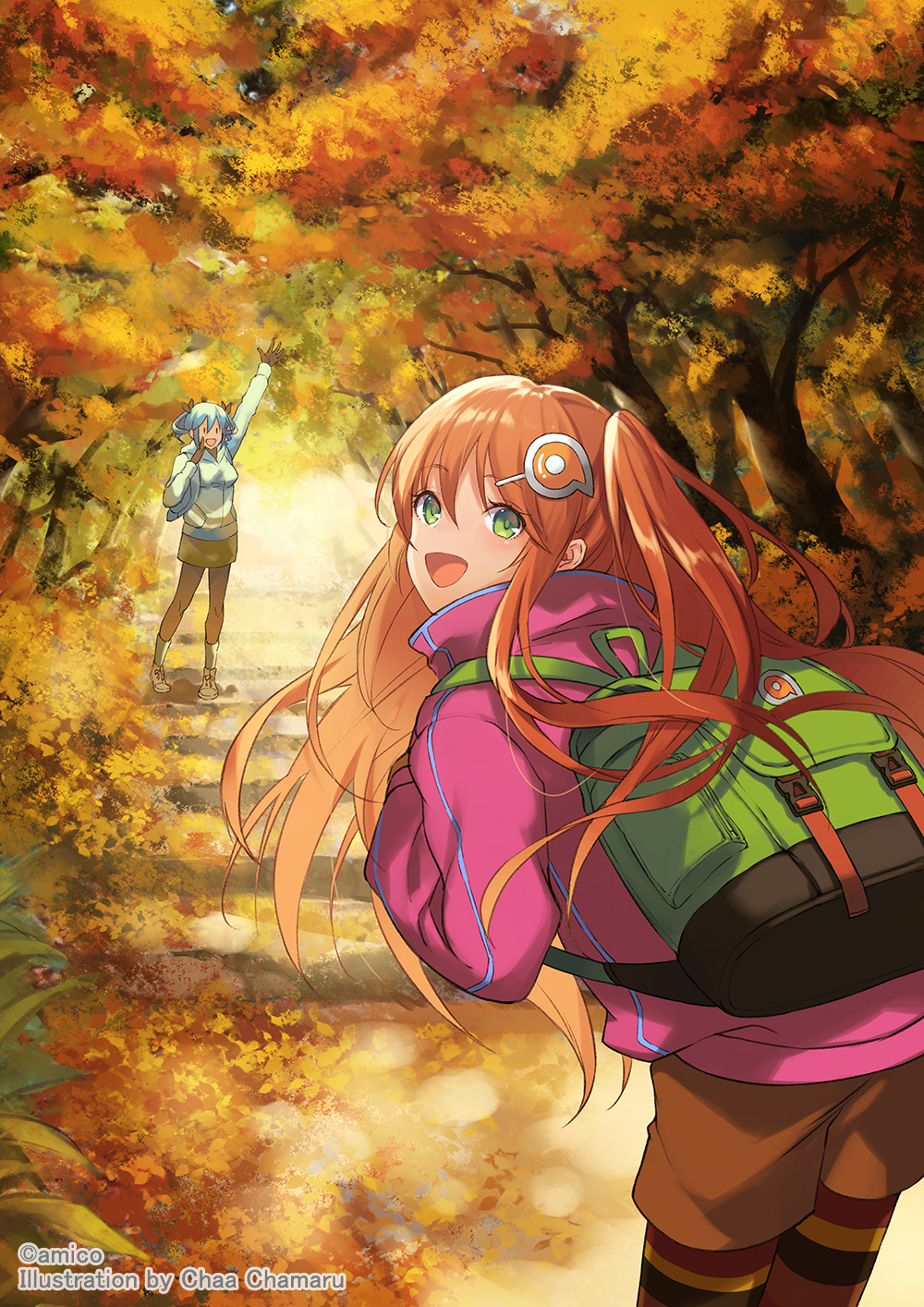 Amiami (Company) Rule 34 Image