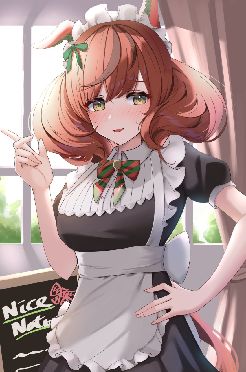Nice Nature (Umamusume) Rule 34 Image