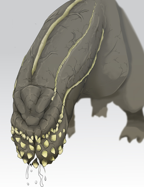 Monster Hunter (Series) Rule 34 Image