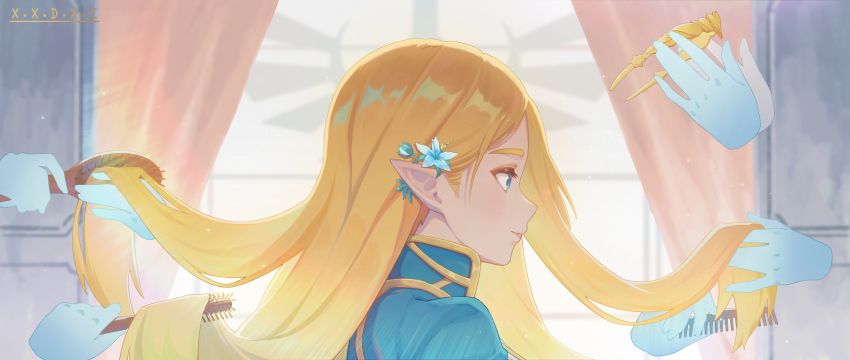 Princess Zelda (Nintendo) Rule 34 Image