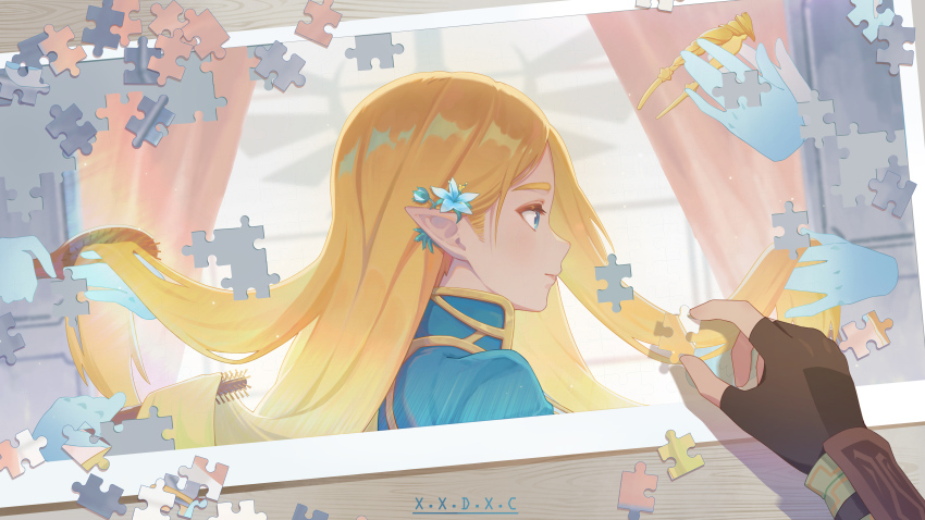 Princess Zelda (Nintendo) Rule 34 Image