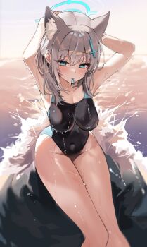 Shiroko (Blue Archive) Rule 34 Image