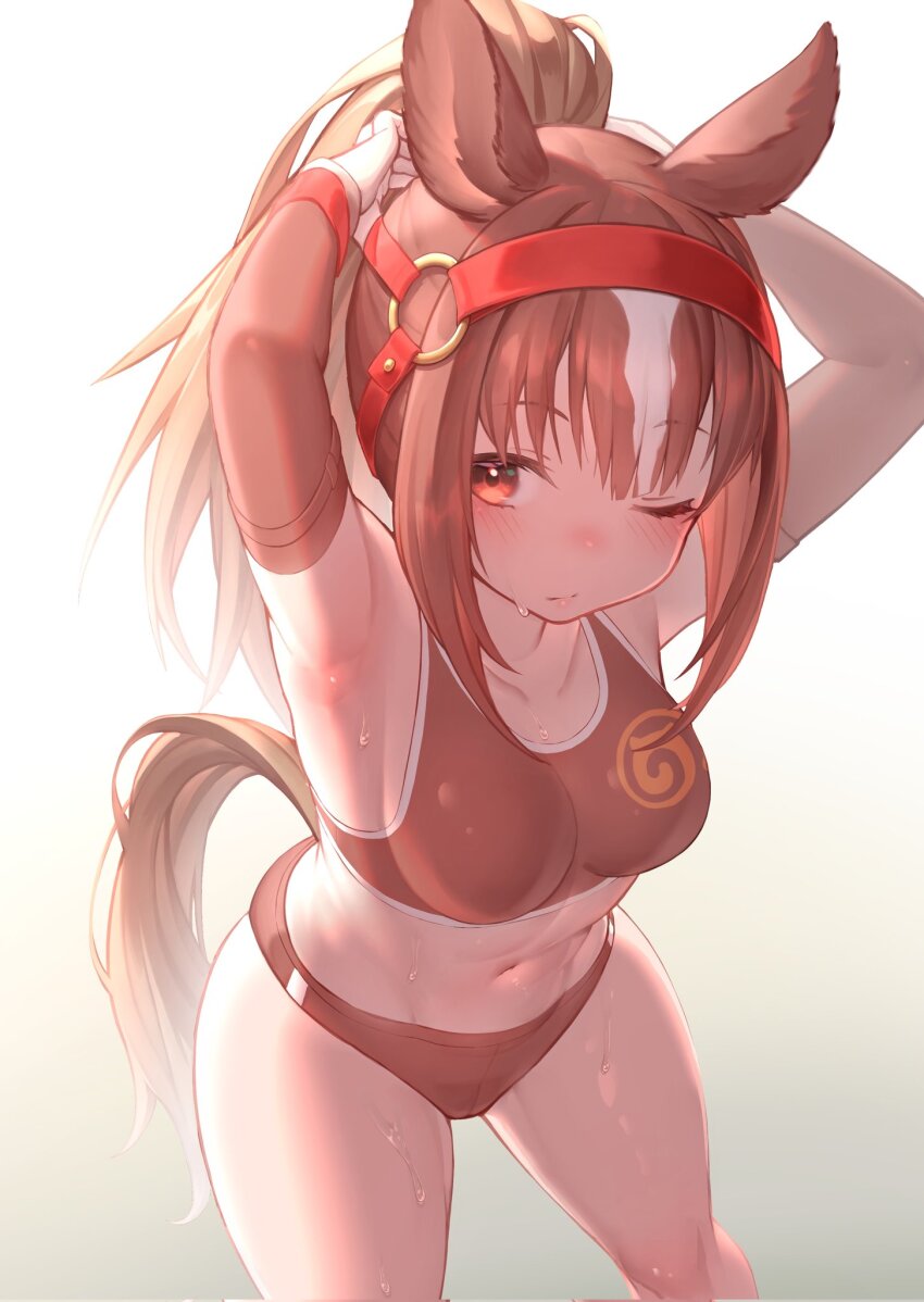 Chestnut Thoroughbred (Kemono Friends) Rule 34 Image