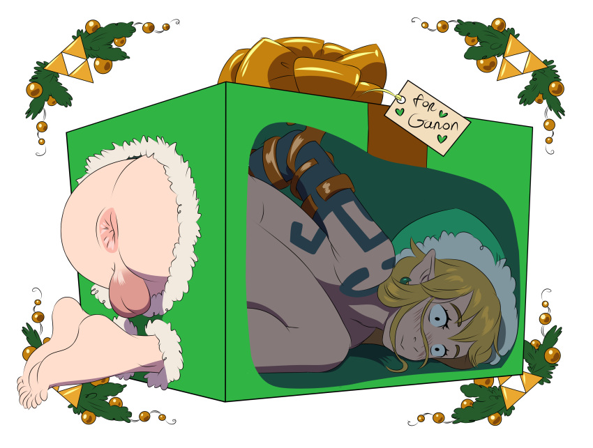 Link (Tears Of The Kingdom) Rule 34 Image