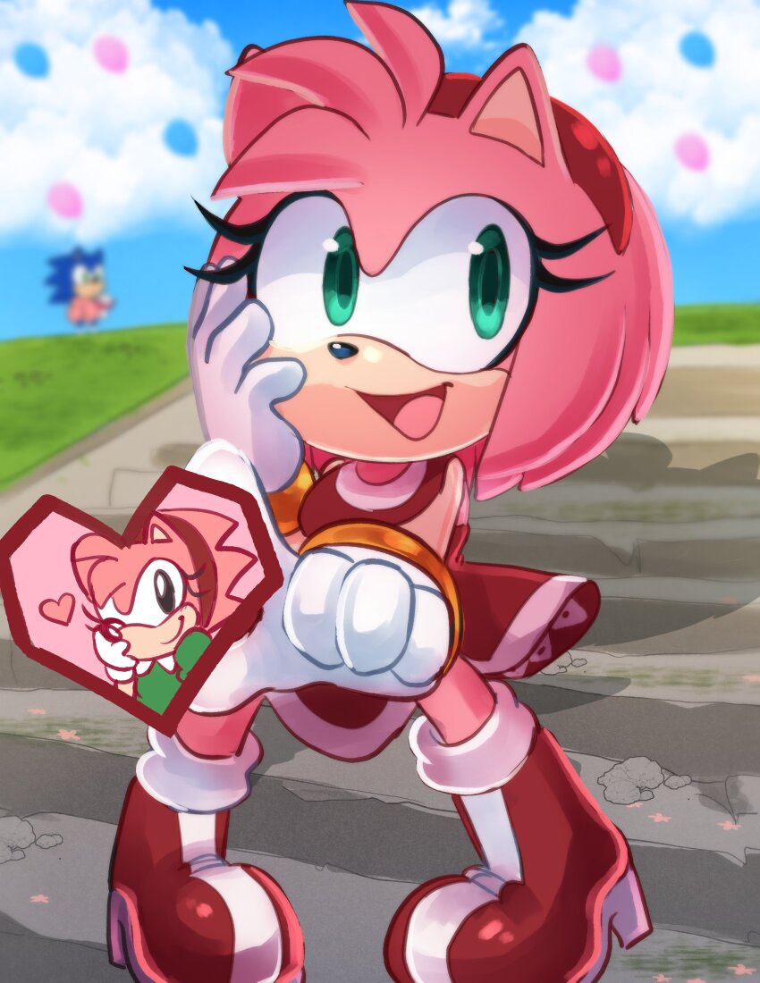Amy Rose (Sonic (Series)) Rule 34 Image