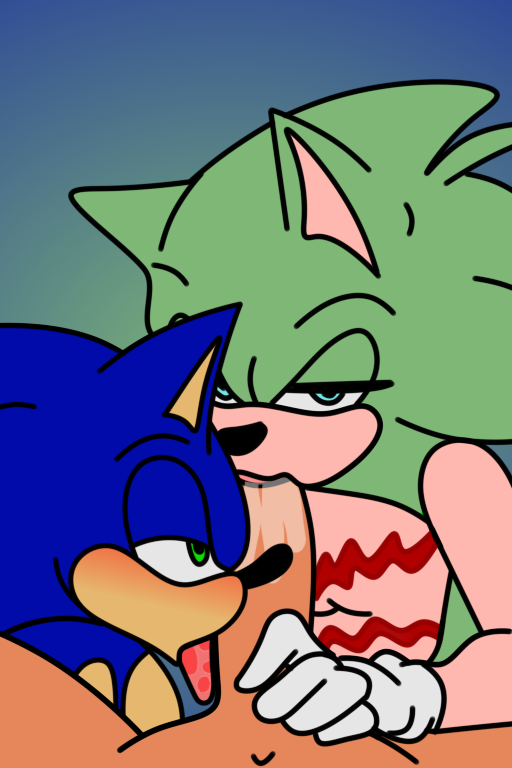Scourge The Hedgehog (Sega) Rule 34 Image