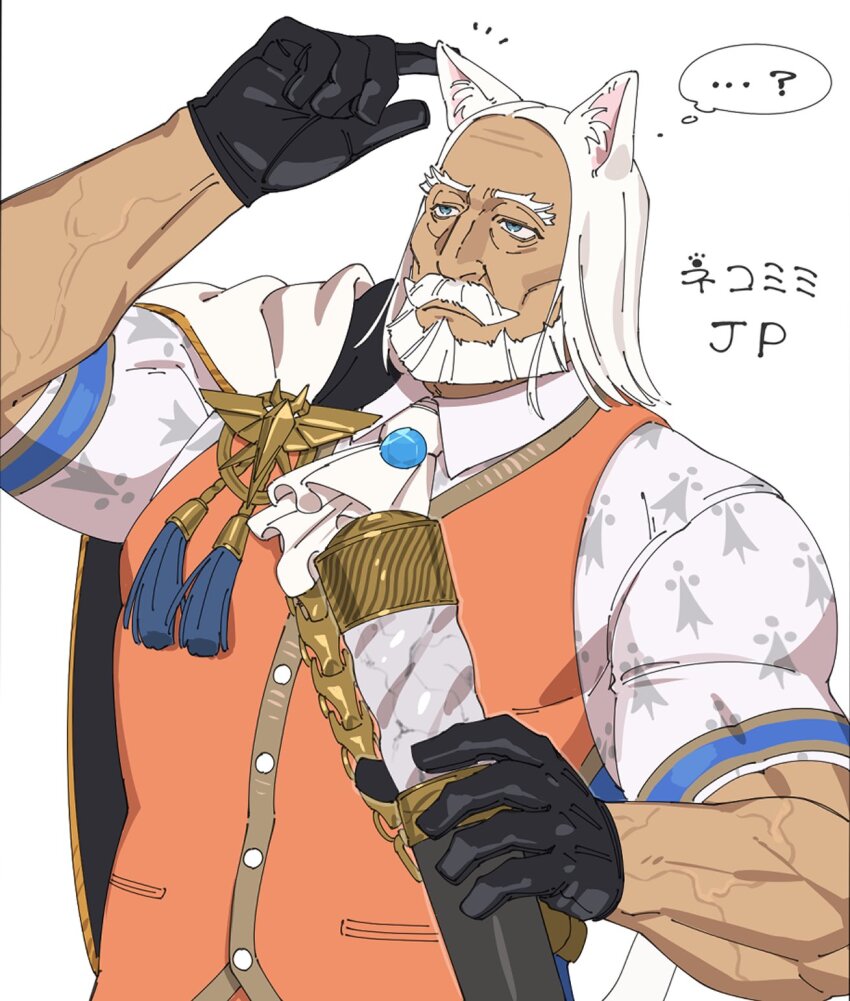 Jp (Street Fighter) Rule 34 Image