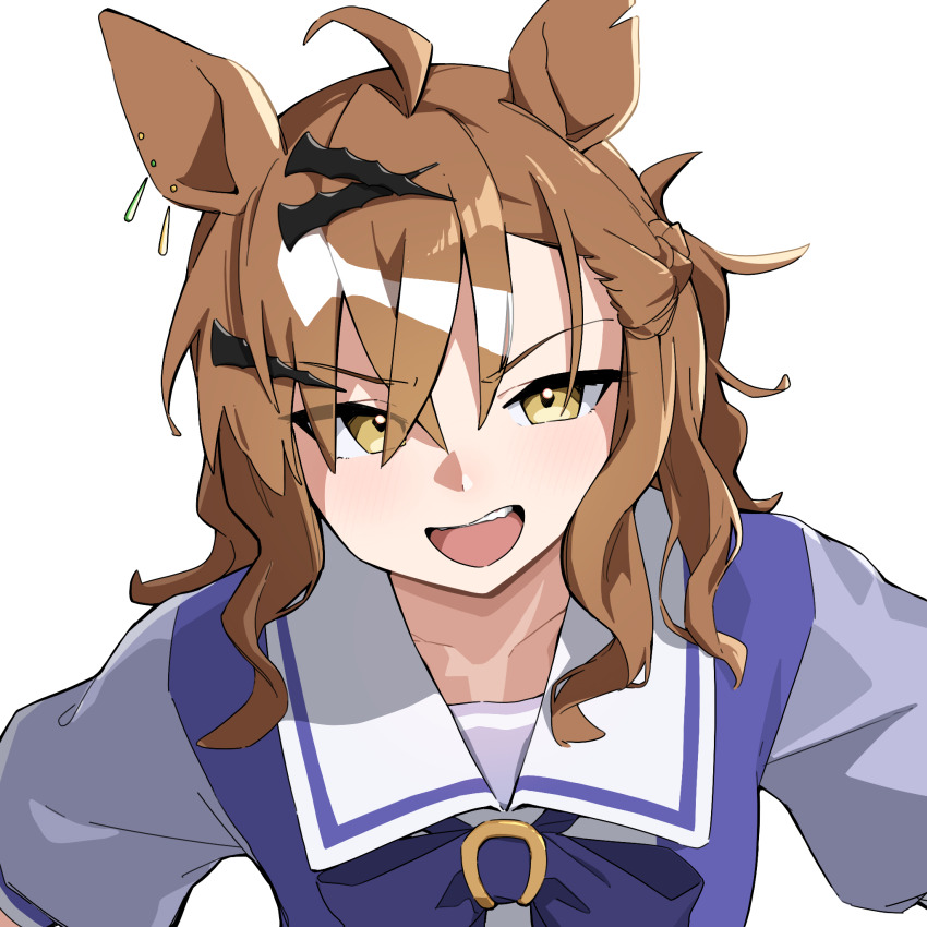 Jungle Pocket (Umamusume) Rule 34 Image