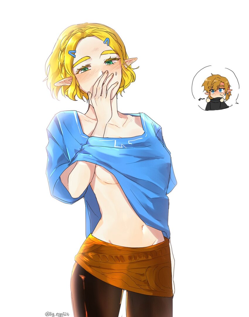 Link (Nintendo) Rule 34 Image