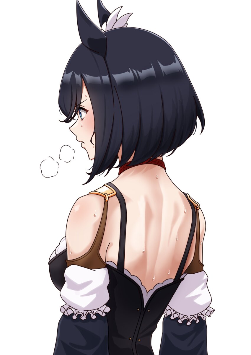 Eishin Flash (Umamusume) Rule 34 Image
