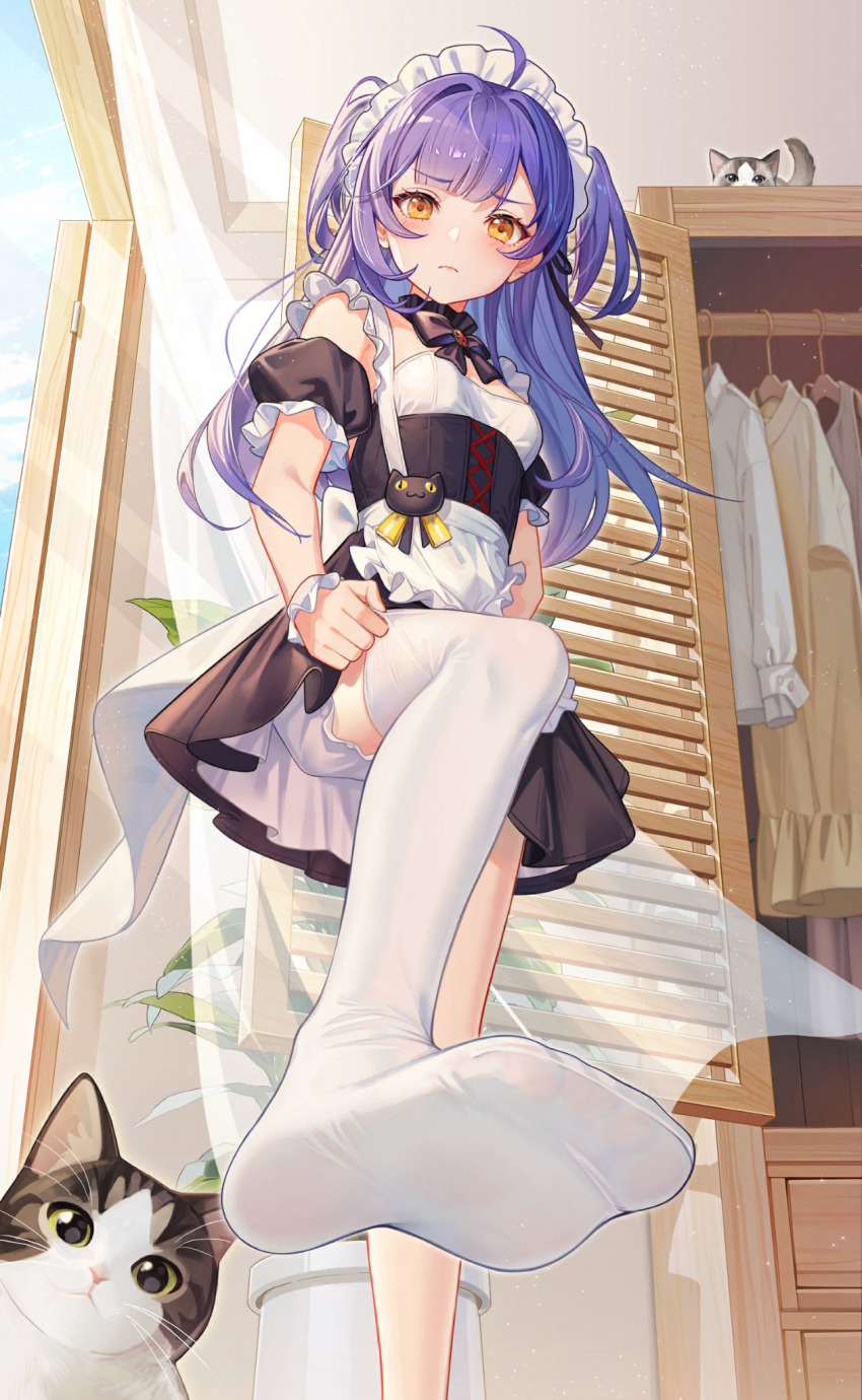 Blue Hair Rule 34 Image