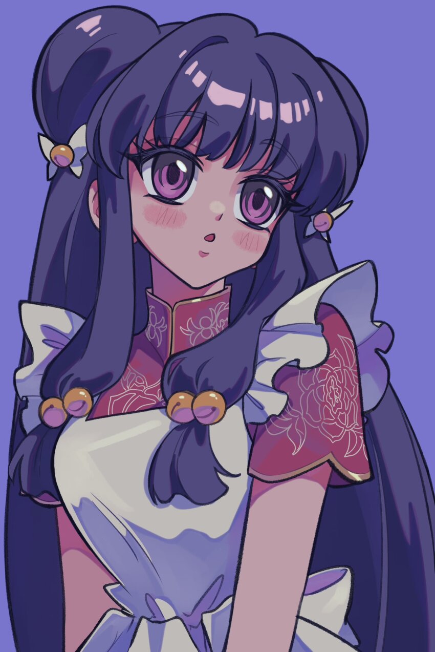 Shampoo (Ranma 1/2) Rule 34 Image