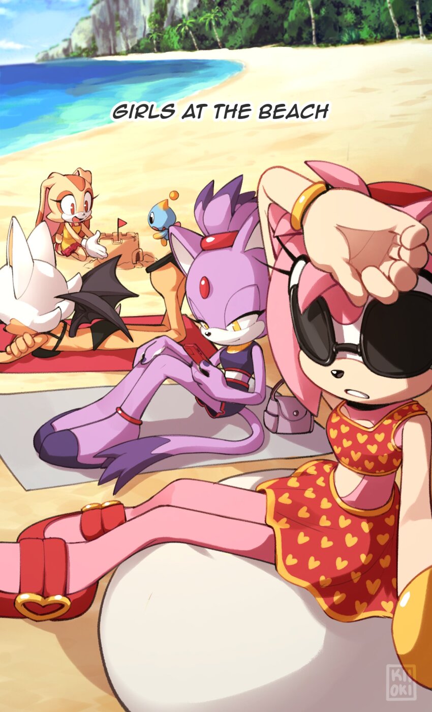 Amy Rose (Sonic (Series)) Rule 34 Image