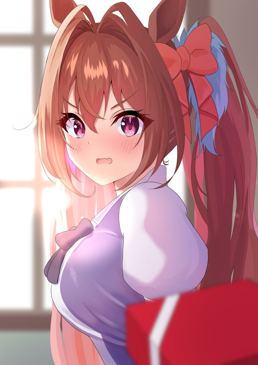 Daiwa Scarlet (Umamusume) Rule 34 Image