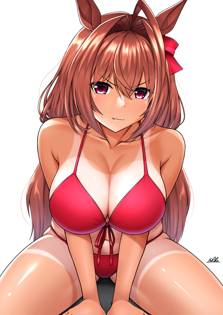 Daiwa Scarlet (Umamusume) Rule 34 Image