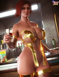 The Witcher (Series) Rule 34 Image