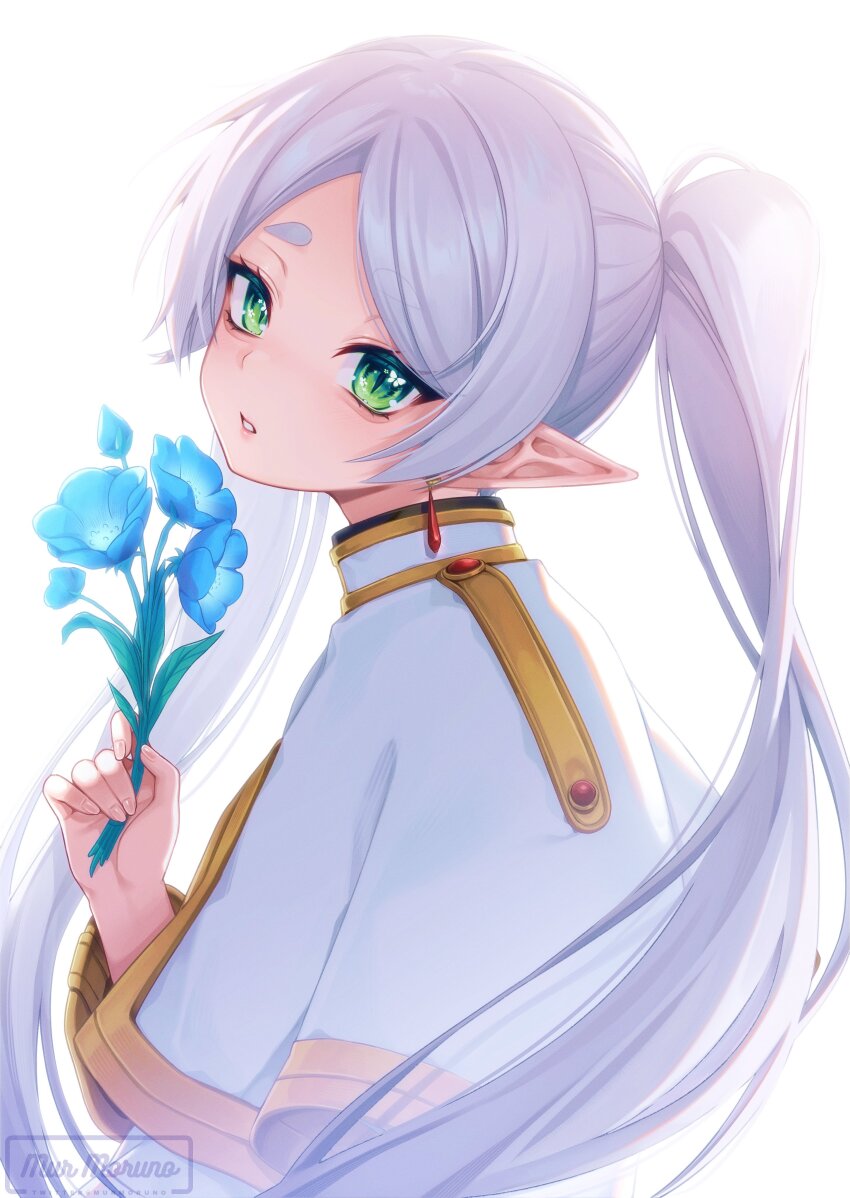 Frieren (Sousou No Frieren) Rule 34 Image