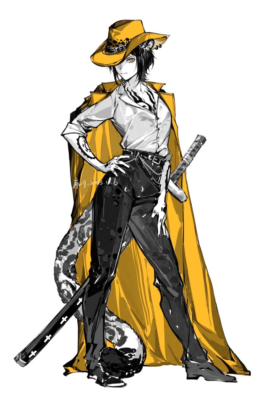 Trafalgar Law (One Piece) Rule 34 Image
