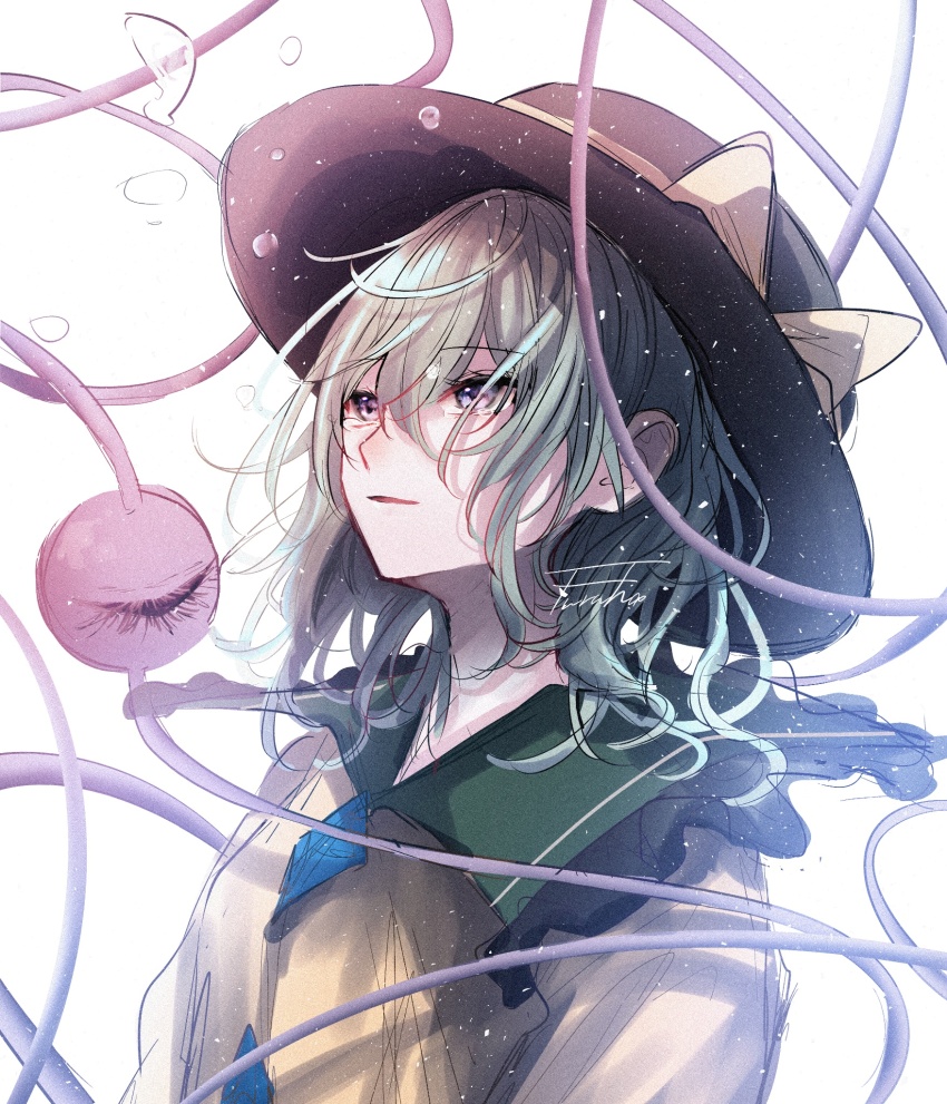Komeiji Koishi (Touhou) Rule 34 Image