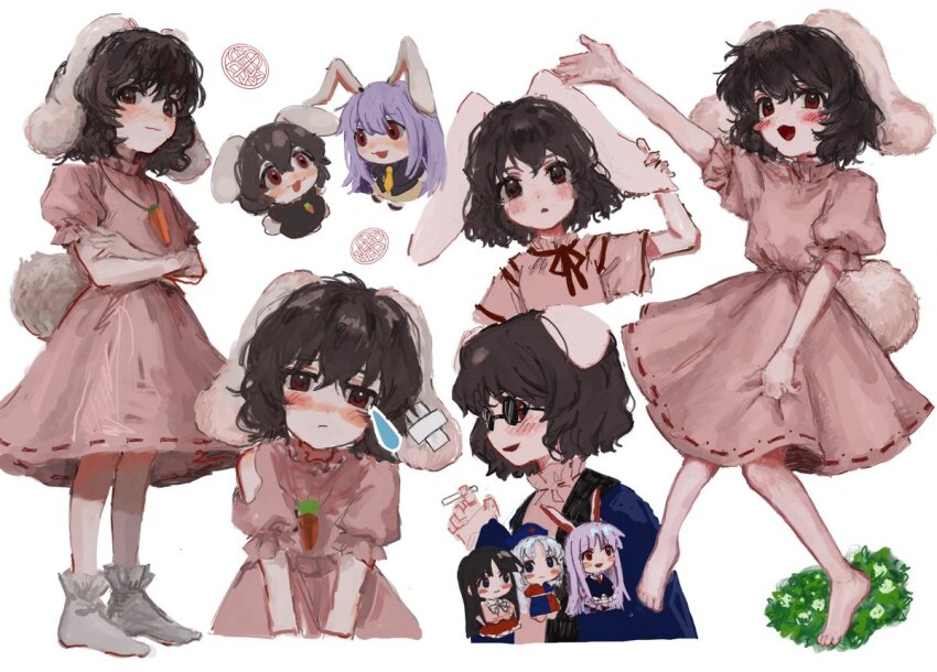 Houraisan Kaguya (Touhou) Rule 34 Image