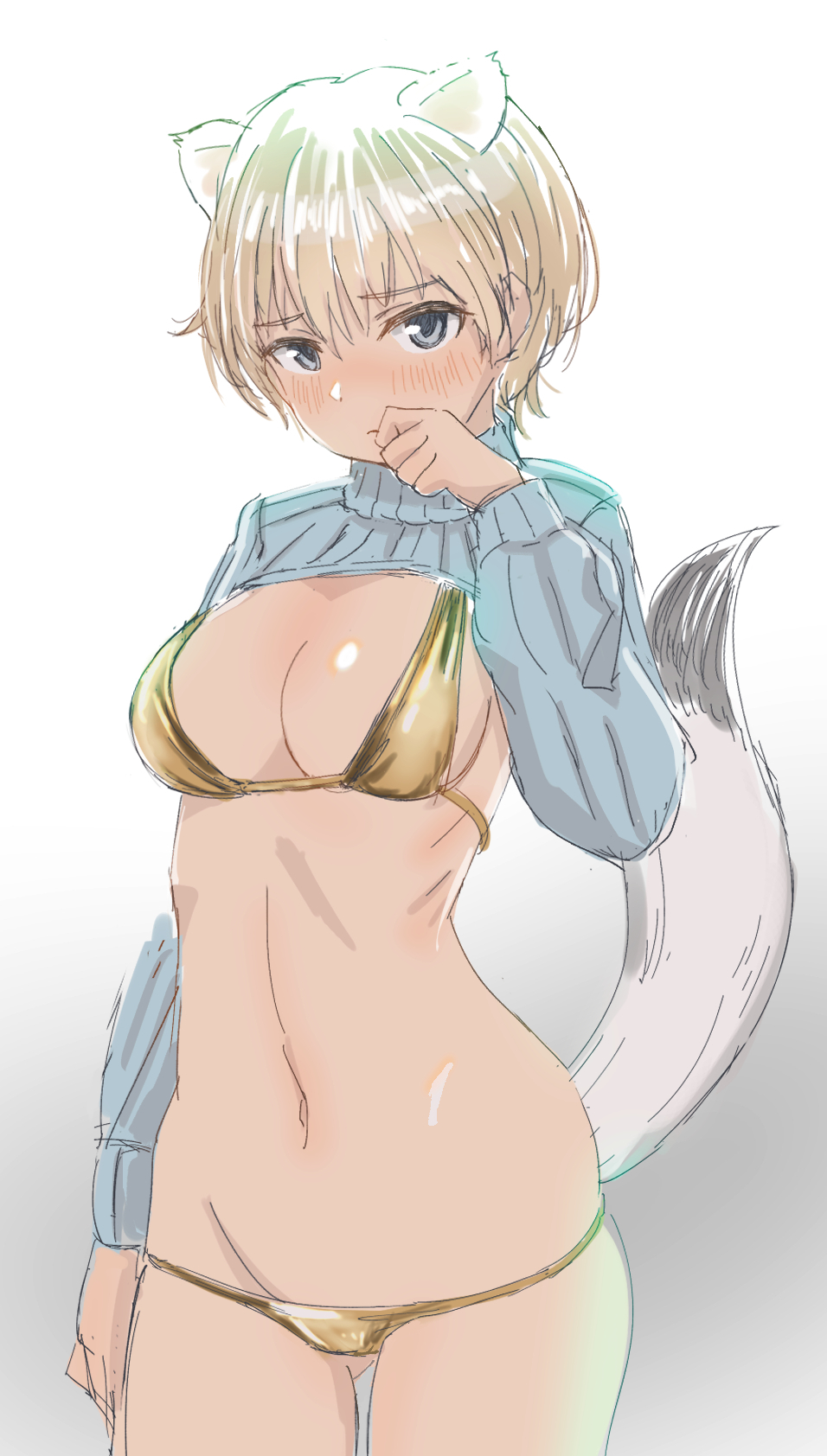 Nikka Edvardine Katajainen (Brave Witches) Rule 34 Image