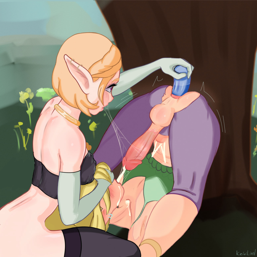 Link (Nintendo) Rule 34 Image