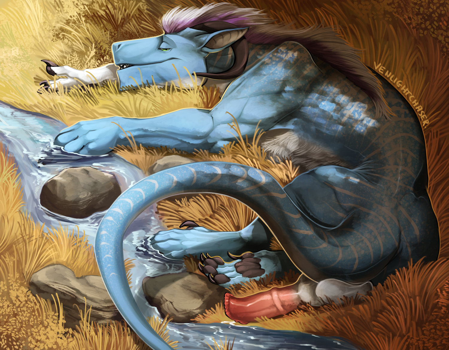 Animal Genitalia Rule 34 Image