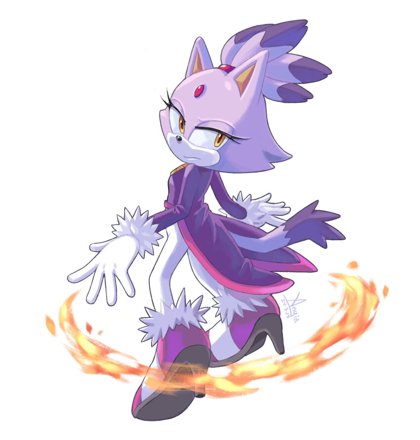 Blaze The Cat (Sonic (Series)) Rule 34 Image
