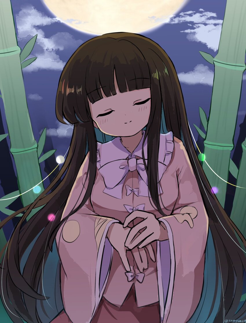 Houraisan Kaguya (Touhou) Rule 34 Image
