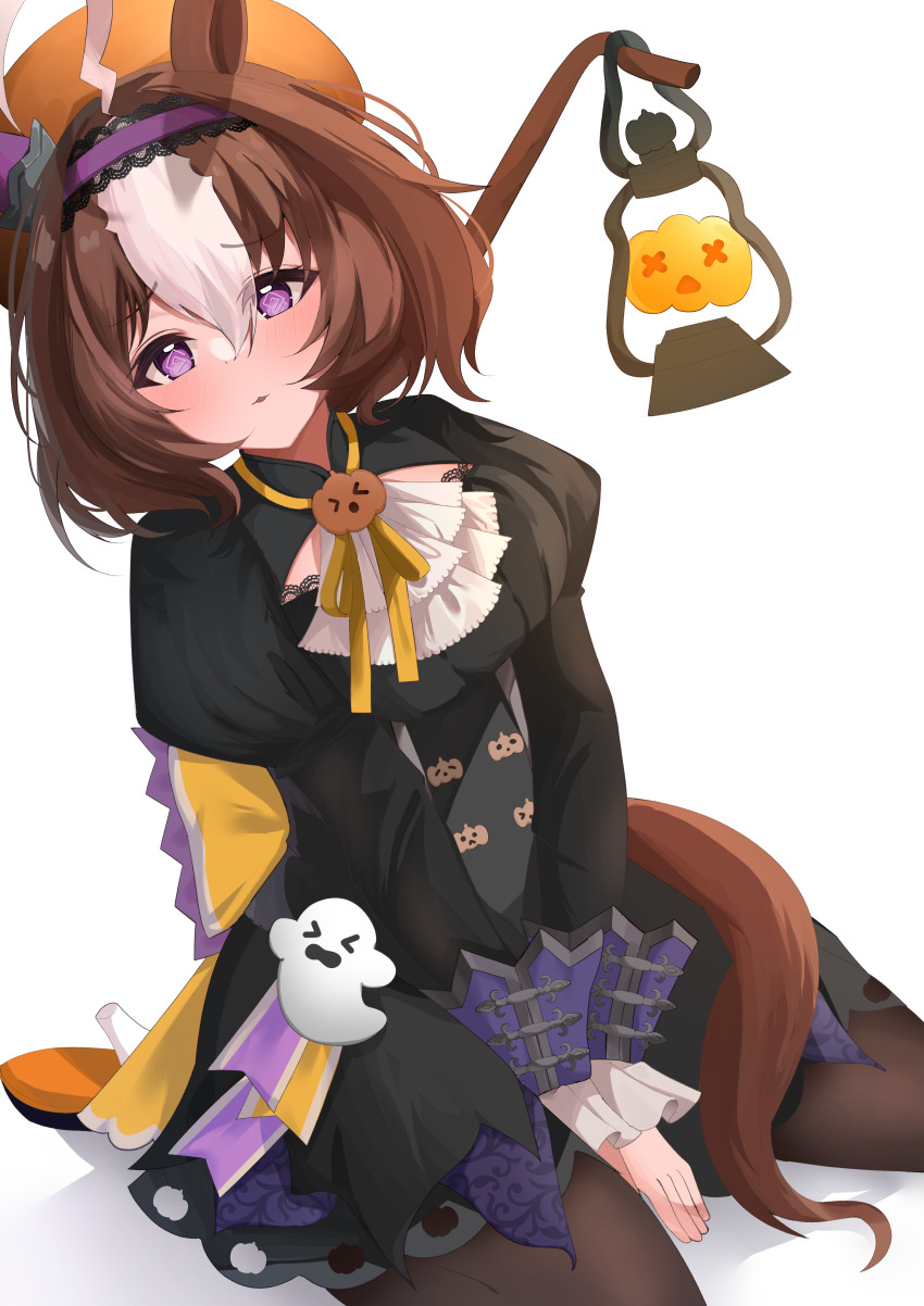 Meisho Doto (Umamusume) Rule 34 Image